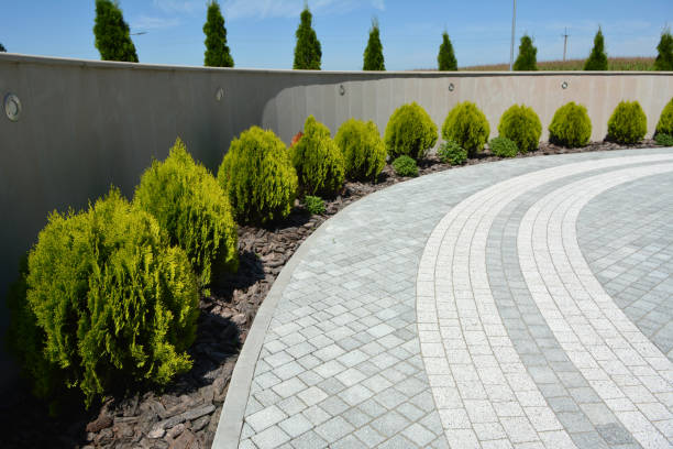 Driveway Repair Near Me in Cedar Mill, OR